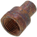1/2" FTG x Female Street Adapter in Dubai UAE